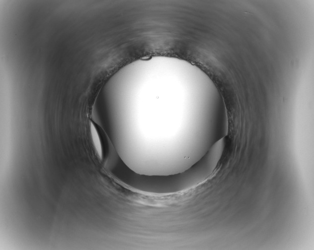 X0000086950033200704301226