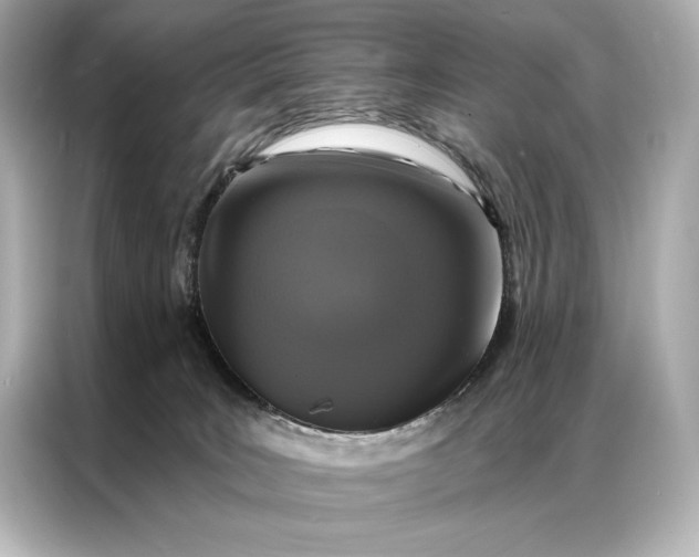 X0000086950035200704301226