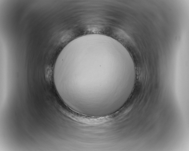 X0000086950036200704301226