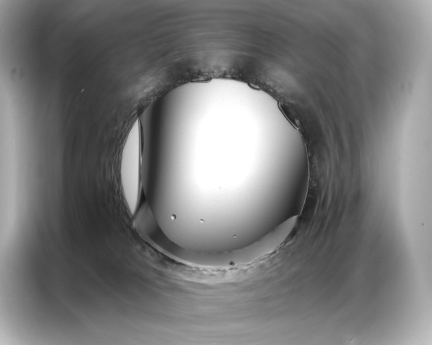 X0000086950037200704301226