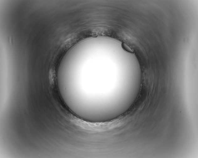 X0000086950038200704301226