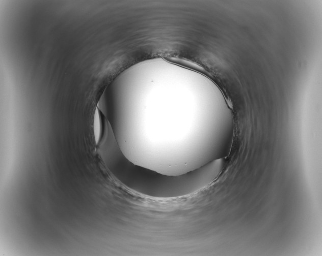 X0000086950041200704301226