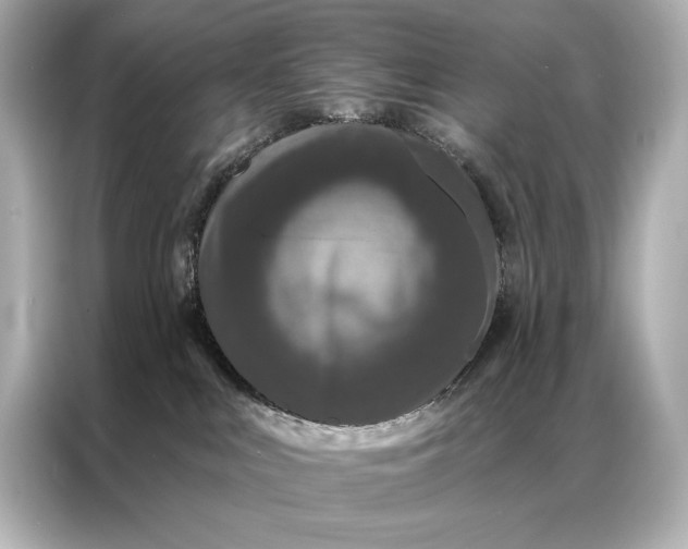 X0000086950043200704301226