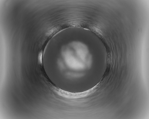 X0000086950047200704301226