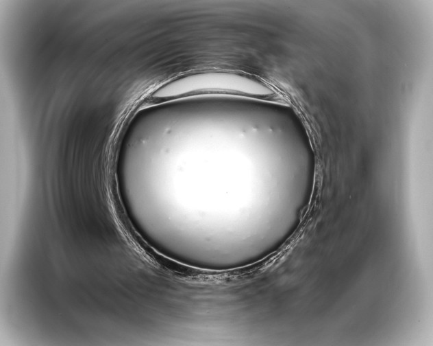 X0000086950049200704301226