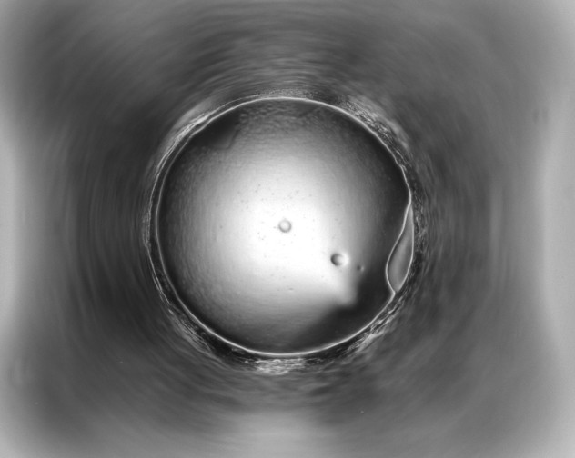 X0000086950051200704301226