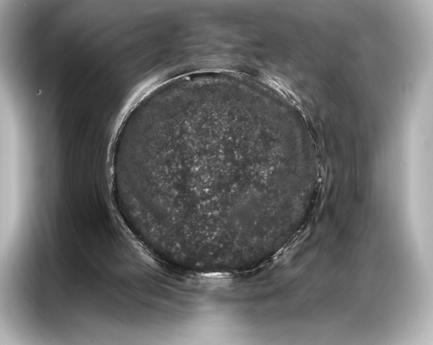 X0000086950053200704301226