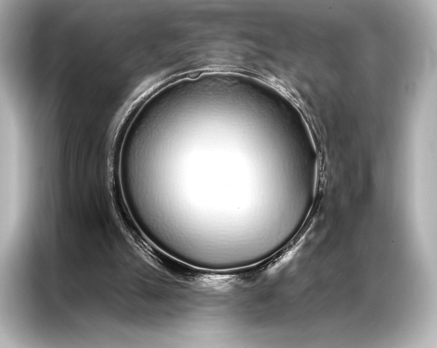 X0000086950055200704301226