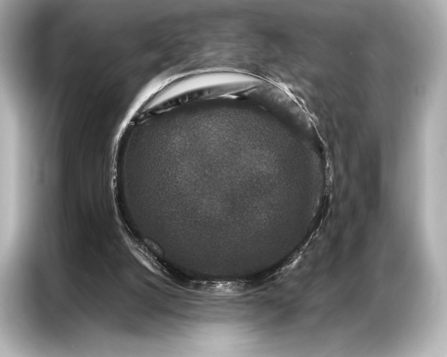 X0000086950056200704301226