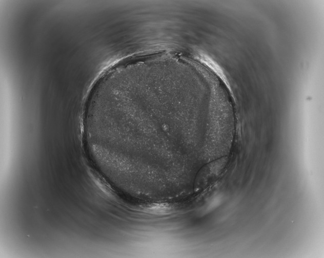 X0000086950059200704301226