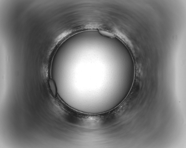 X0000086950060200704301226