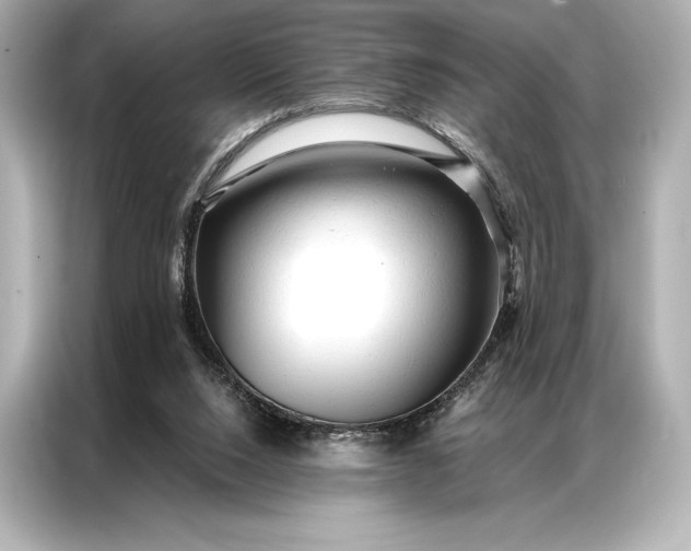 X0000086950064200704301226