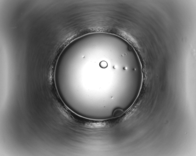 X0000086950065200704301226