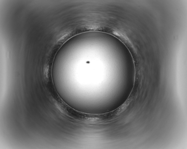 X0000086950066200704301226