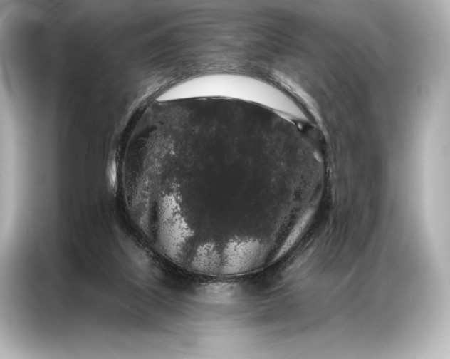 X0000086950067200704301226