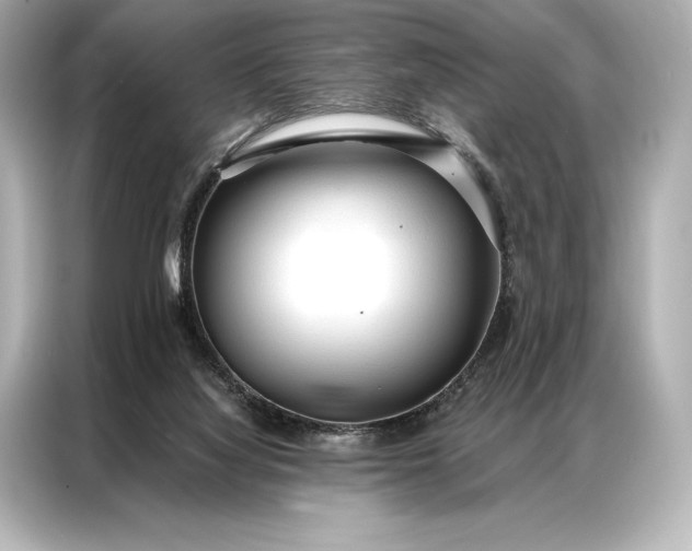 X0000086950068200704301226