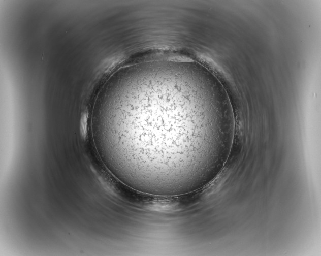 X0000086950070200704301226