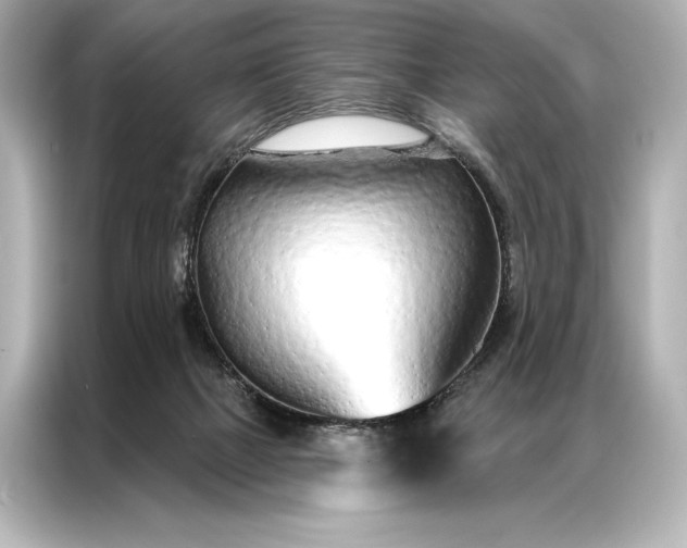 X0000086950073200704301226