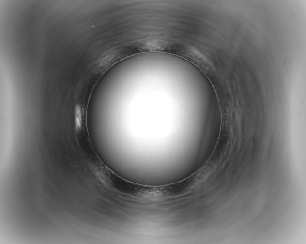 X0000086950075200704301226