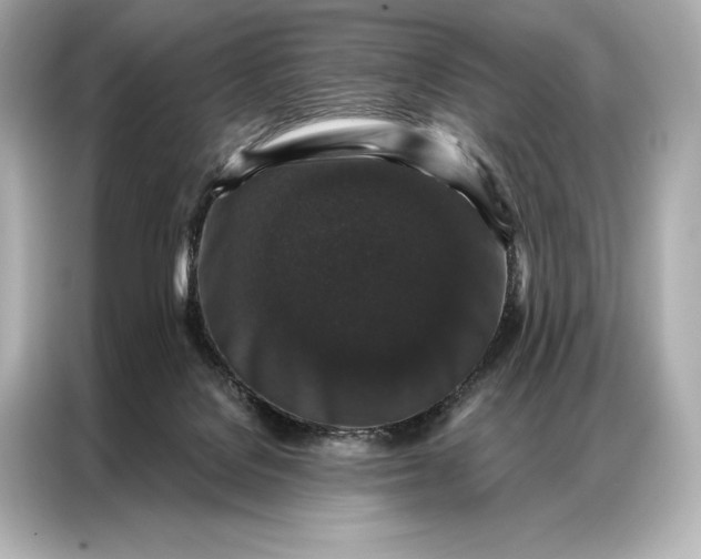 X0000086950076200704301226