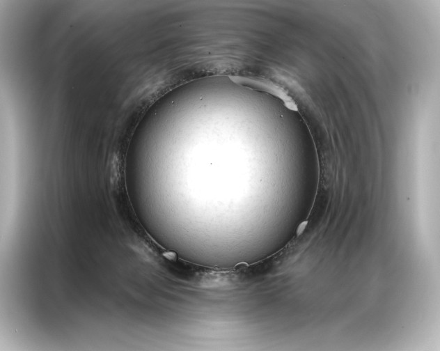 X0000086950077200704301226