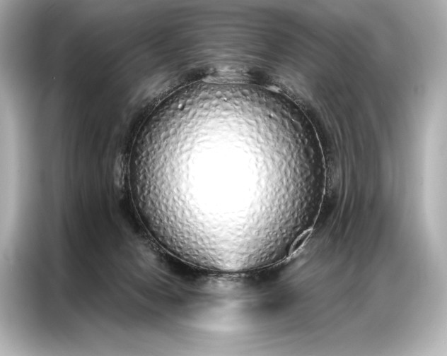 X0000086950078200704301226