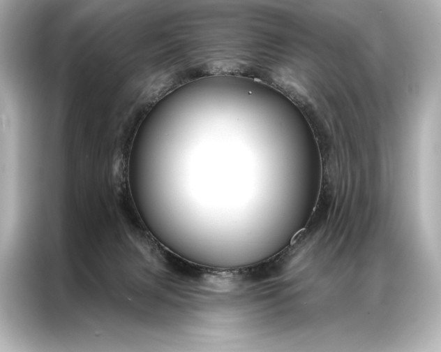 X0000086950079200704301226