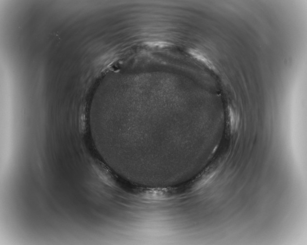 X0000086950080200704301226