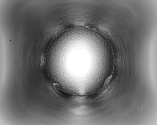 X0000086950081200704301226