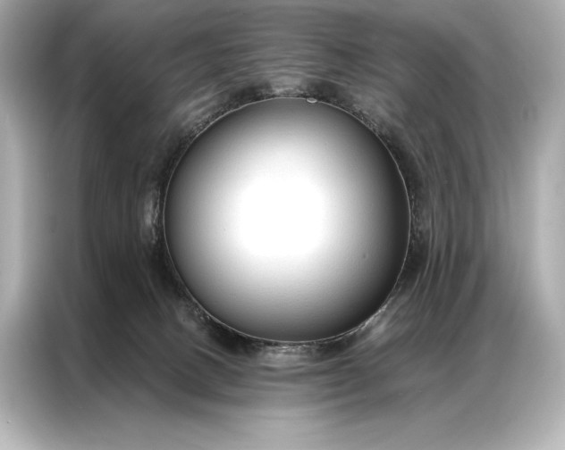 X0000086950082200704301226