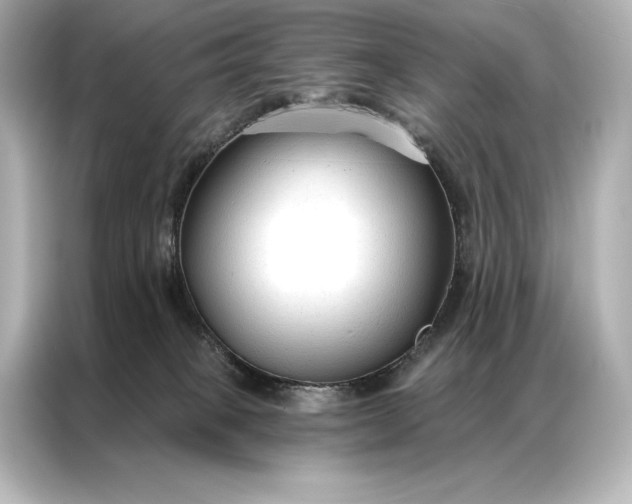 X0000086950085200704301226