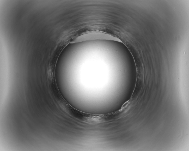 X0000086950086200704301226