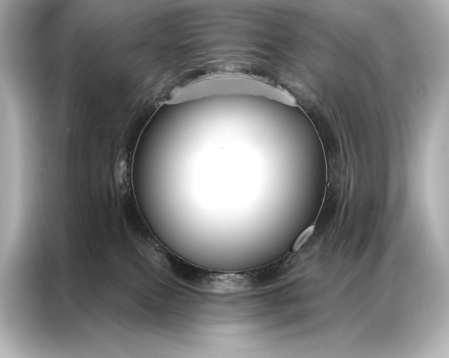 X0000086950087200704301226