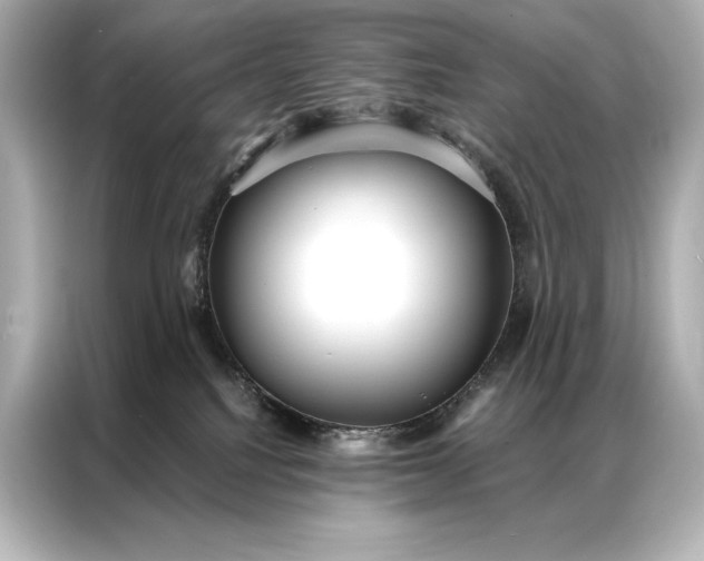 X0000086950088200704301226