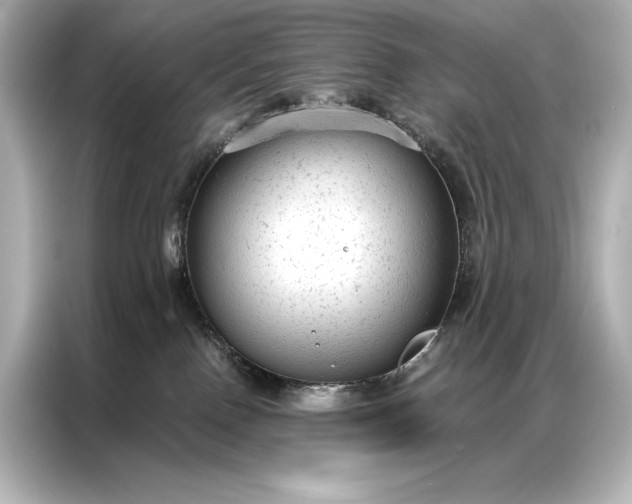 X0000086950090200704301226