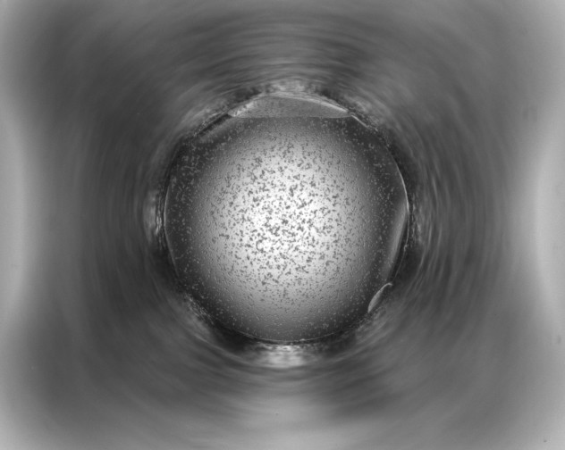 X0000086950091200704301226