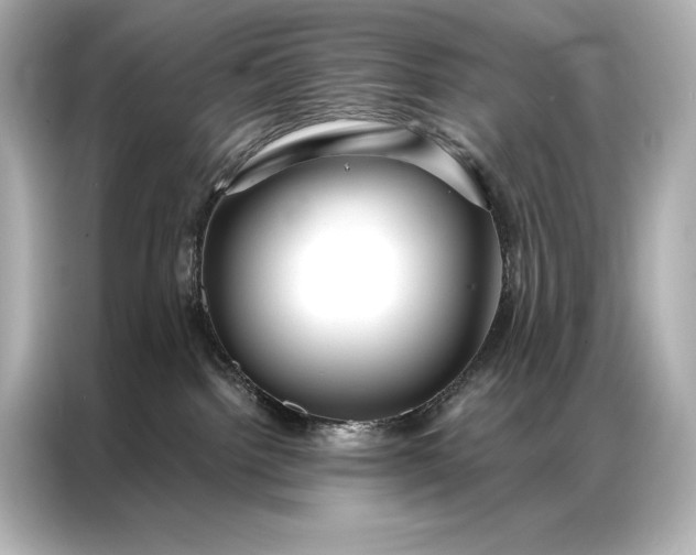 X0000086950092200704301226