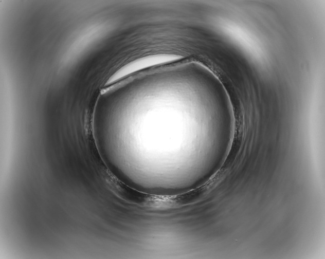 X0000086950093200704301226