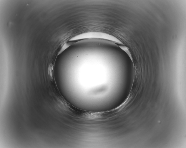 X0000086950094200704301226