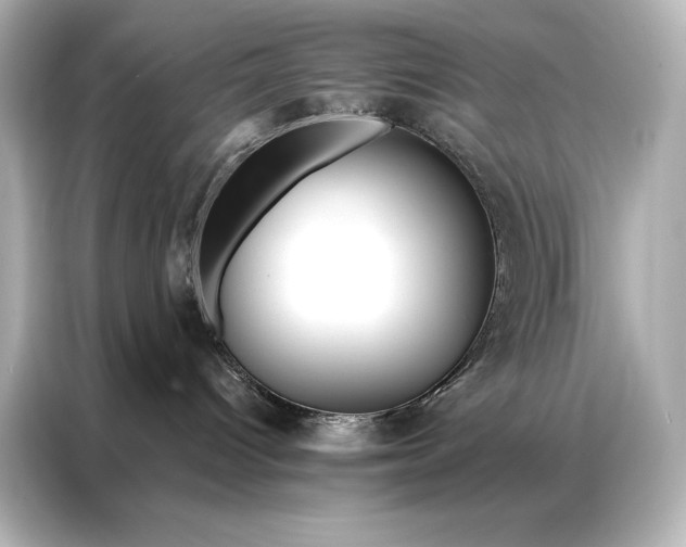 X0000086950096200704301226