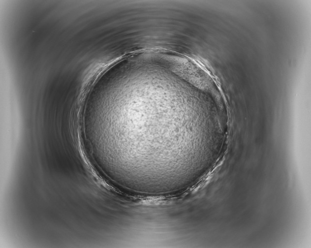 X0000086950097200704301226