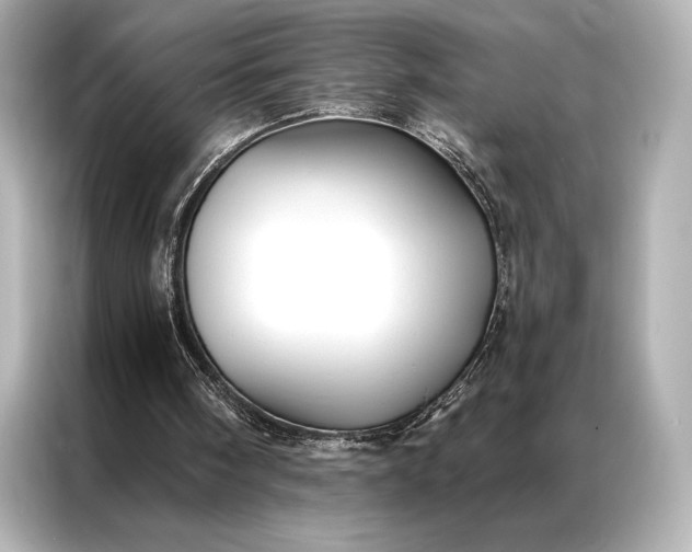 X0000086950098200704301226