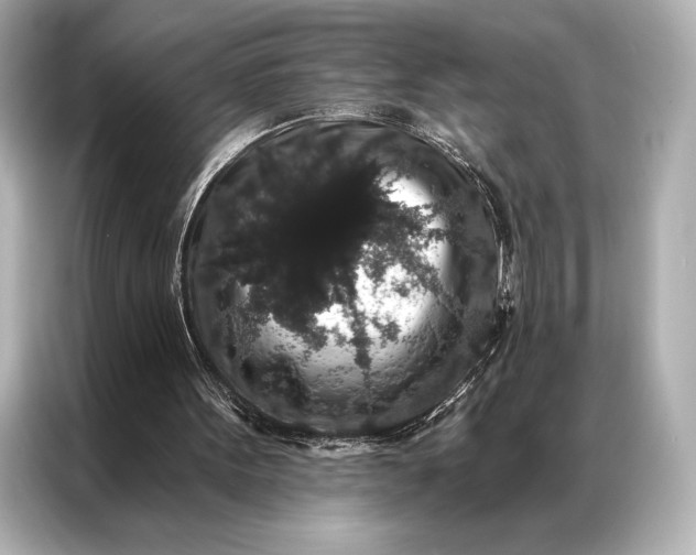 X0000086950099200704301226