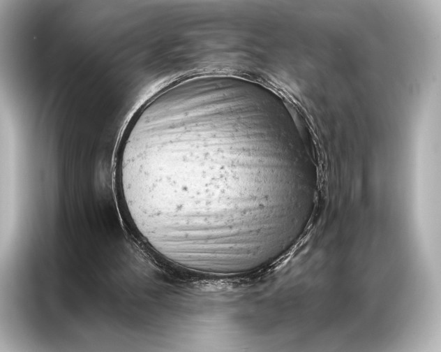 X0000086950100200704301225