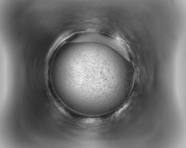 X0000086950101200704301225