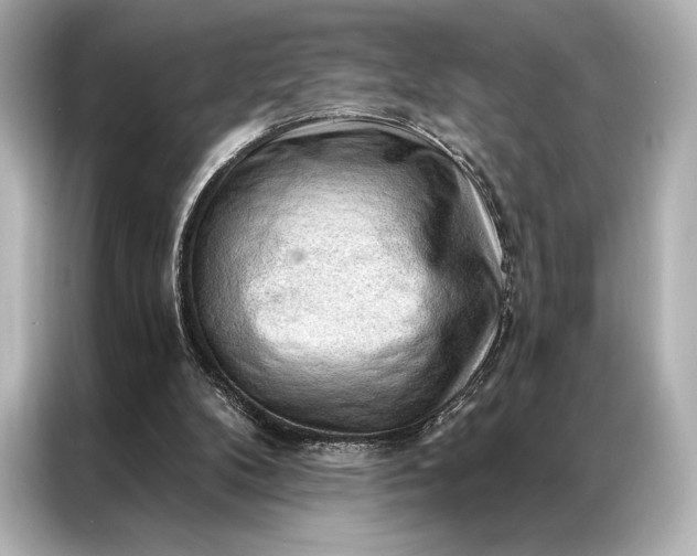 X0000086950104200704301225