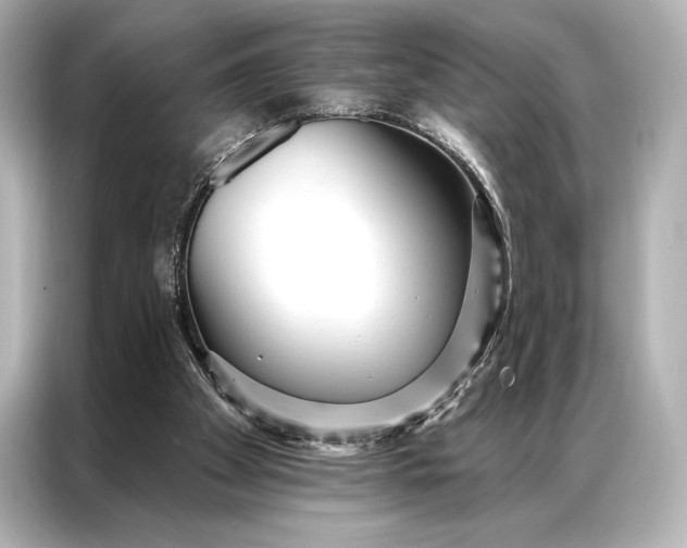 X0000086950105200704301225