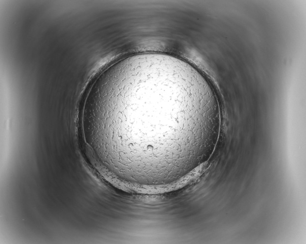 X0000086950107200704301225