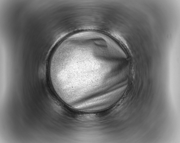 X0000086950108200704301225