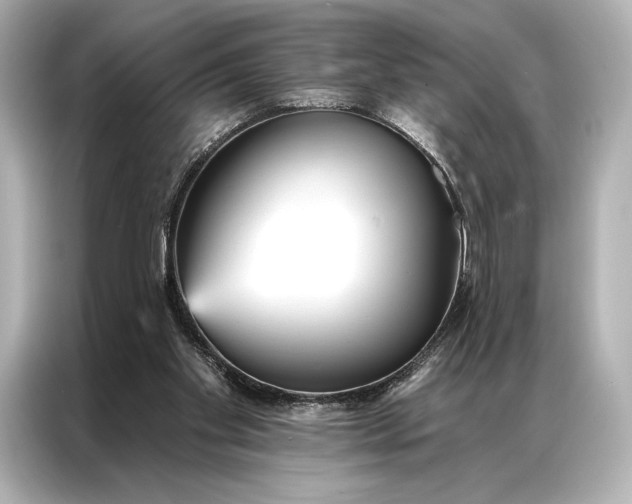 X0000086950109200704301225